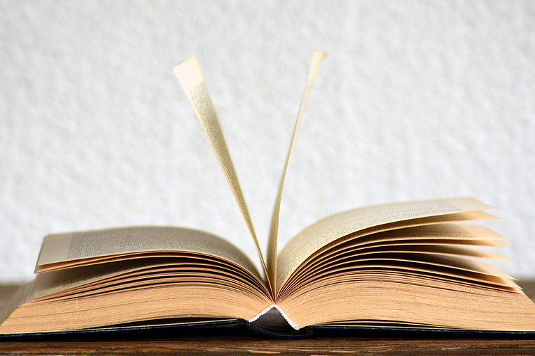 Три минчанки лишились шести тысяч рублей, продавая вещи на интернет-площадках