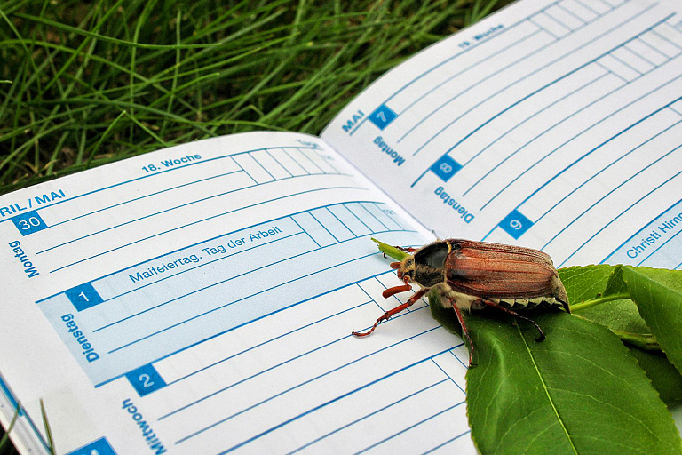 Какие переносы ожидают белорусов в мае из-за длинных выходных