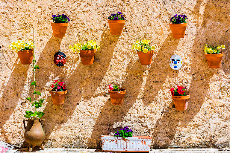 В Ботаническом саду научат расписывать глиняные кашпо – их можно забрать домой