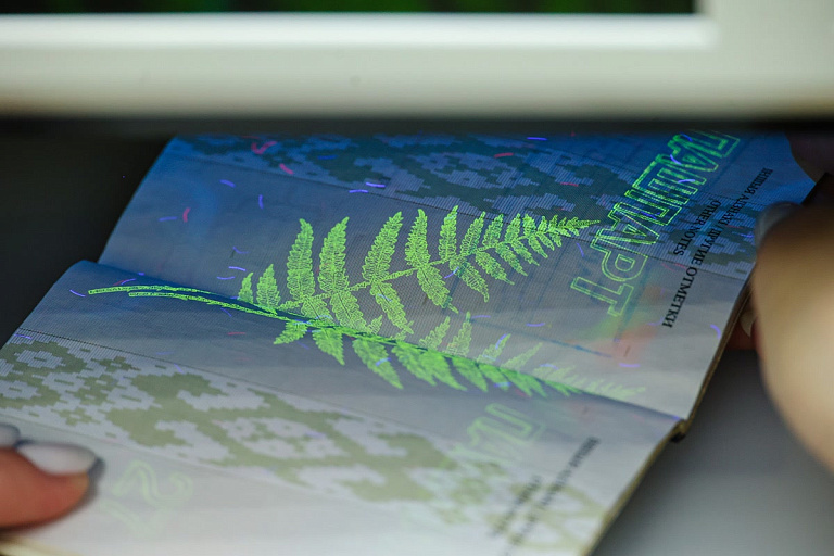 В Литве хотят ограничить поток въезжающих в страну белорусов