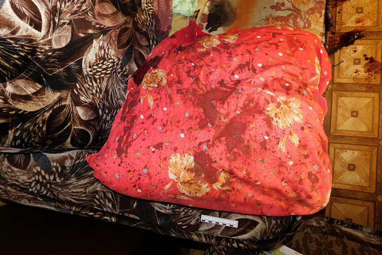 Под Добрушем мужчина убил жену и ее тетю