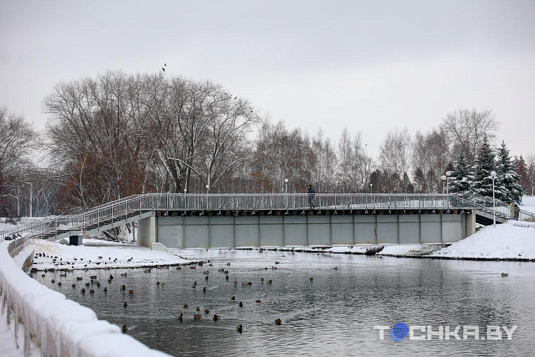 Оттепель и гололедицу прогнозируют синоптики 21 декабря