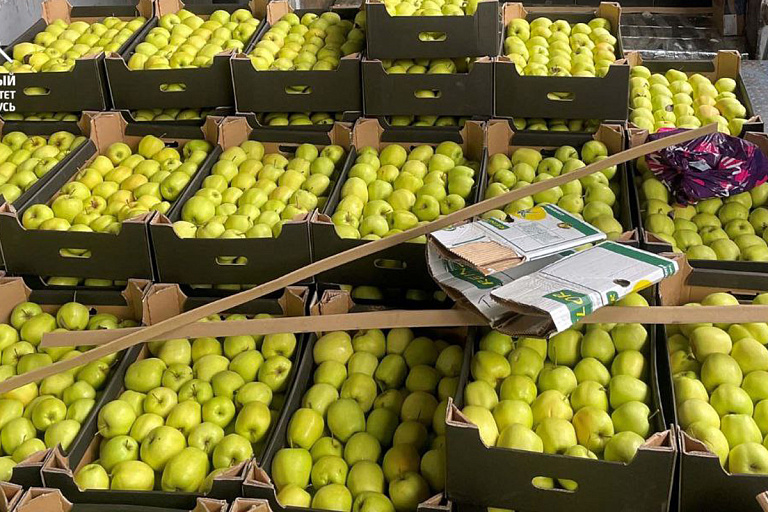 Из Беларуси в Россию незаконно везли яблоки – и так пять раз за две недели