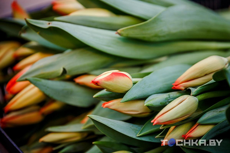 В Минске заработают 200 площадок по продаже цветов