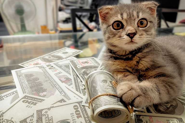 Евро в начале недели потерял четыре копейки – курсы валют