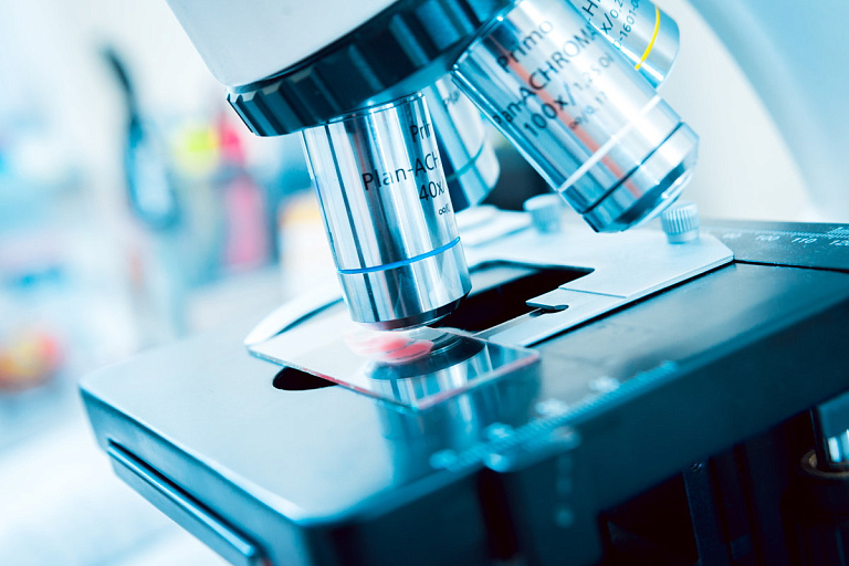 В Беларуси обнаружили новый вид древних бактерий