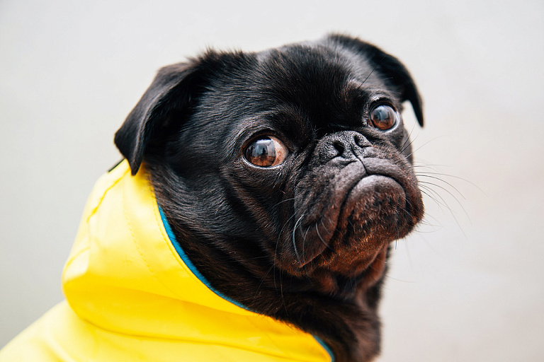 Погода в Беларуси 28 мая – зонтик берем и утепляемся