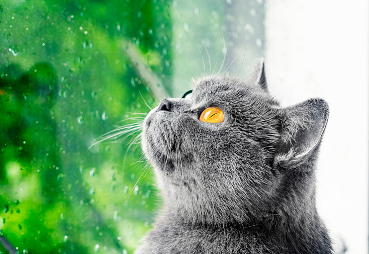 Не прячем зонтики – погода в Беларуси на воскресенье