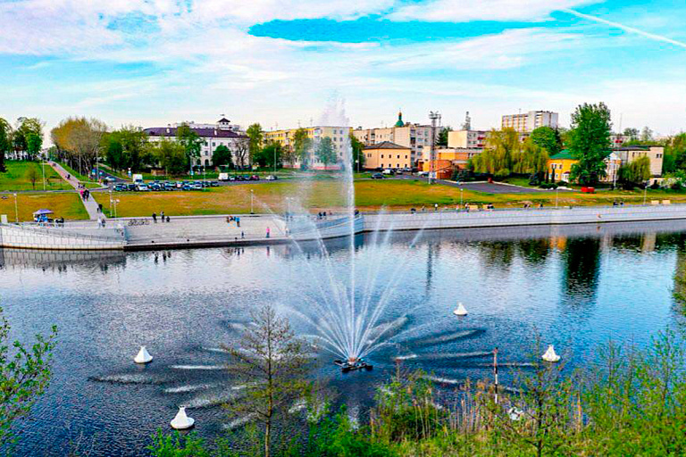 Мэр Бреста опроверг слухи о вспышке холеры в городе