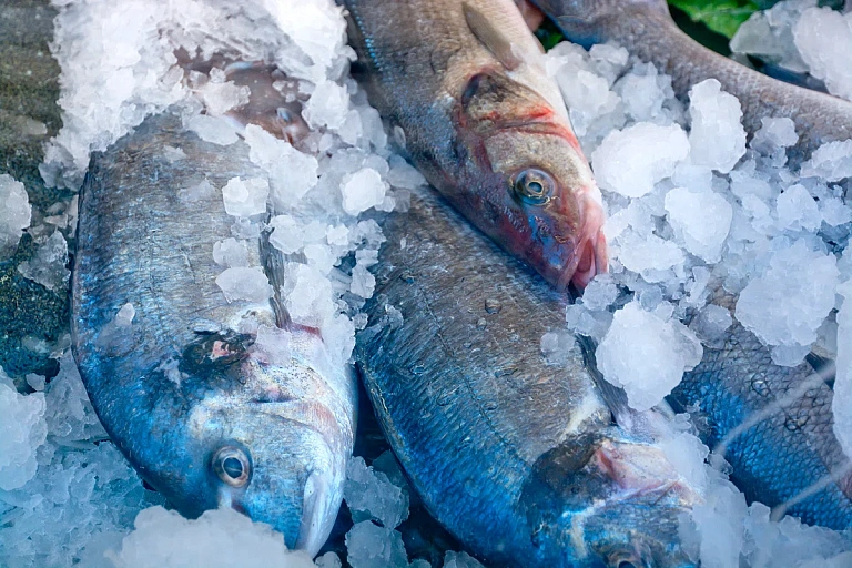 Белорусские таможенники обнаружили 14 т лосося без разрешений