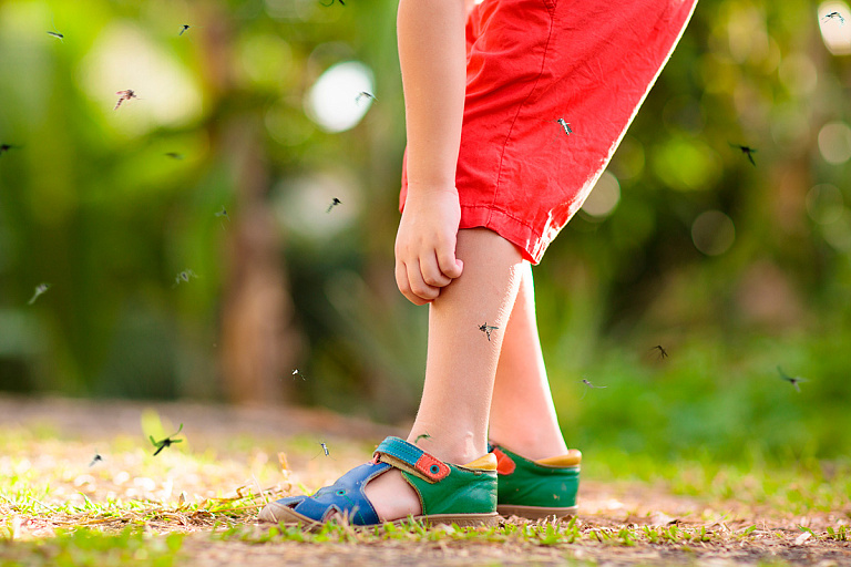 Китаец разработал "лазерное ПВО" против комаров