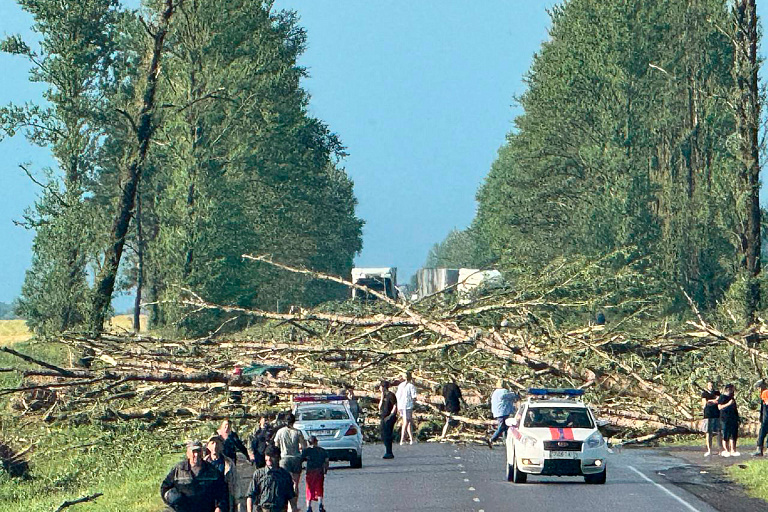 Как после апокалипсиса: посмотрите, что натворил ураган в Беларуси