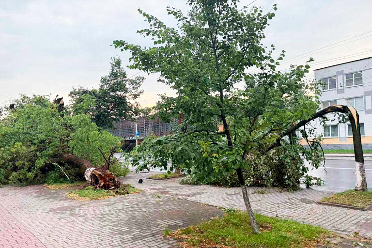 Блэкаут и потоп: Могилеву крепко досталось из-за ночных гроз – фото и видео