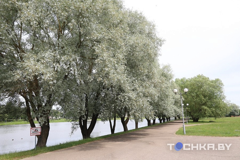 Фото: Павел Русак / Tochka.by