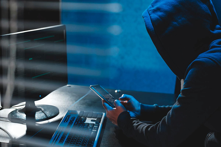 Спасу нет: с начала 2025-го заблокировано более 5000 мошеннических сайтов