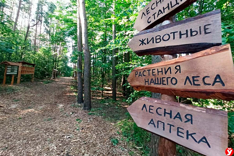 В Заславле откроется экотропа – рядом много интересного