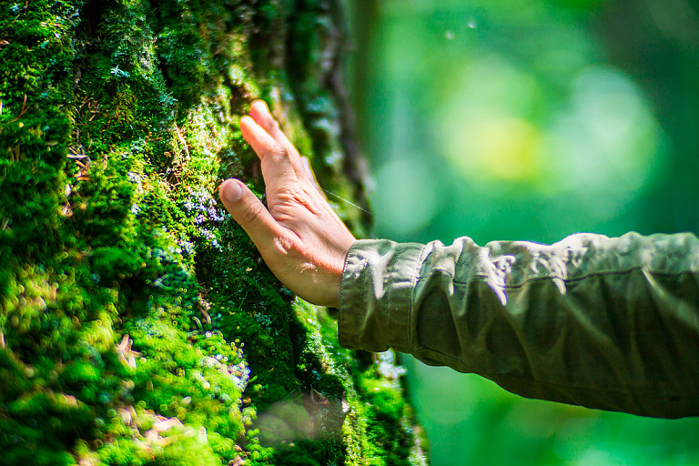 Двое мужчин потерялись в лесу 12 июля – их ищут до сих пор