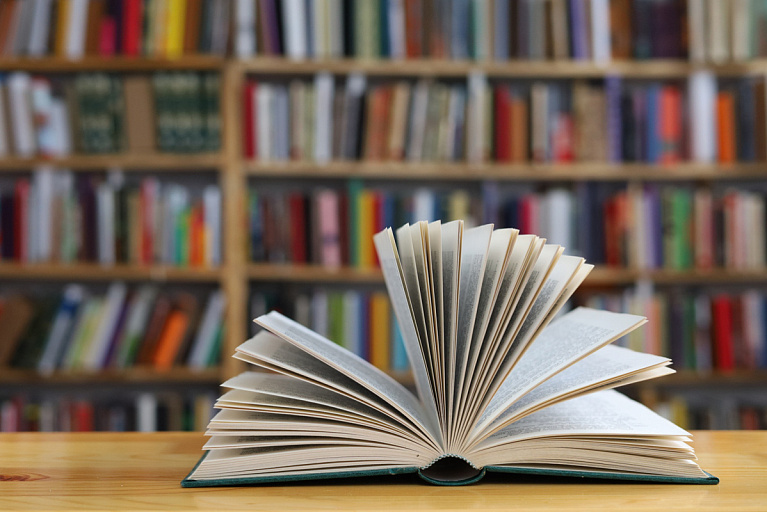 К учебному году подготовлены 28 новых учебников – какие пособия поменяли