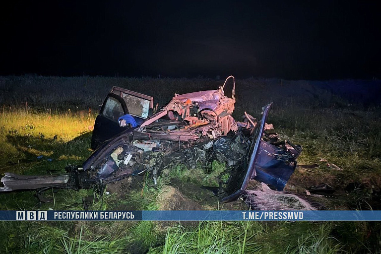 BMW на полном ходу влетел в ЗИЛ на Гомельщине – погибли люди