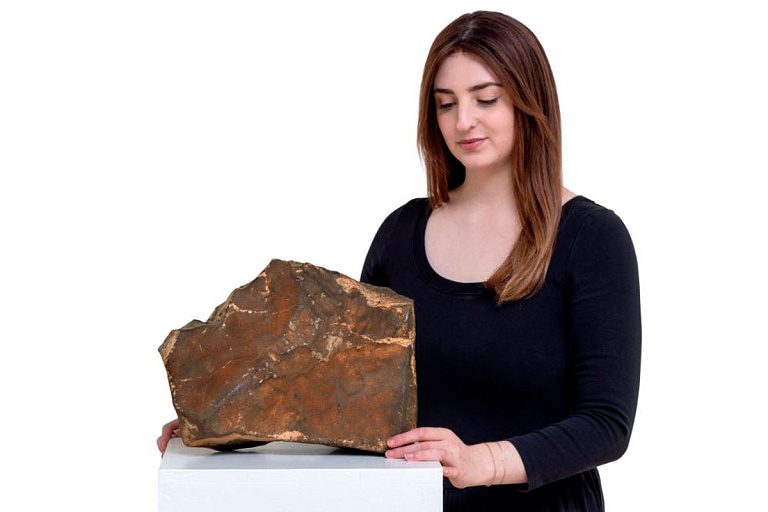 Осколок Марса продали с аукциона в Нью-Йорке – цена лота впечатляет