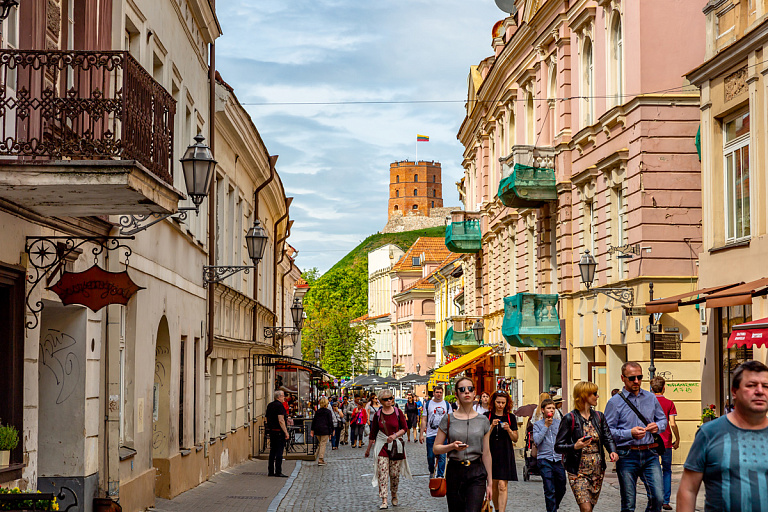 В Литве призвали обязать белорусов учить государственный язык – подробности