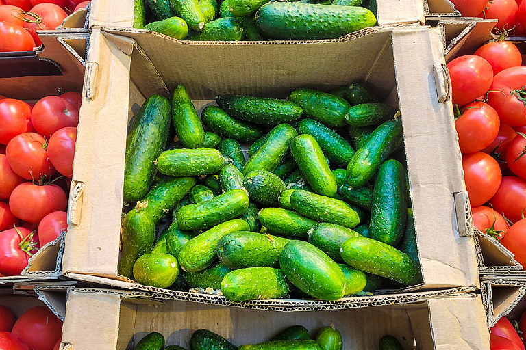 Стало известно, как появился популярный "ларек самообслуживания" из TikTok