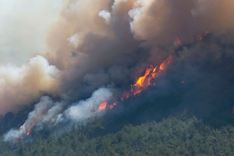 Лесные пожары захватывают Турцию: из Антальи эвакуируют людей