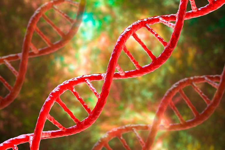 Японские ученые совершили прорыв в лечении синдрома Дауна