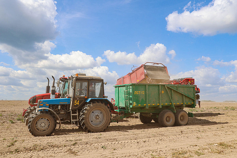 Беларусь увеличила бюджет на производство сельхозпродукции – выделили миллионы