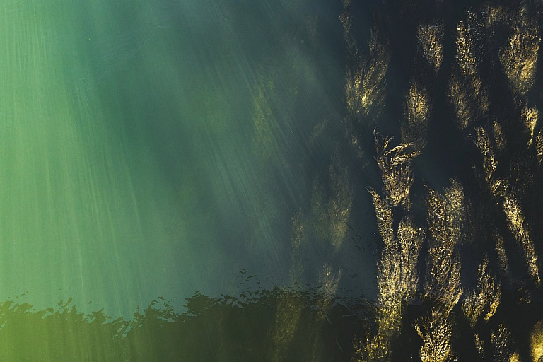 Тонны вредных водорослей попали на пляжи Испании – что с отпусками белорусов