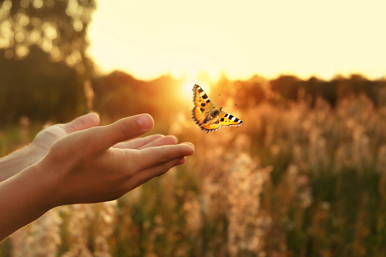 Лето придет только к выходным: прогноз от Рябова на 4–10 августа