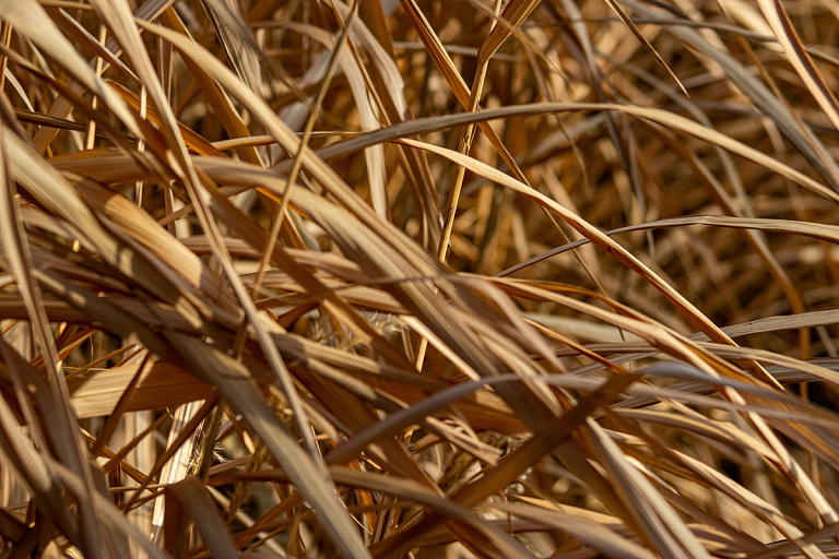 Можно ли у себя на даче складировать солому и сено, объяснили в МЧС