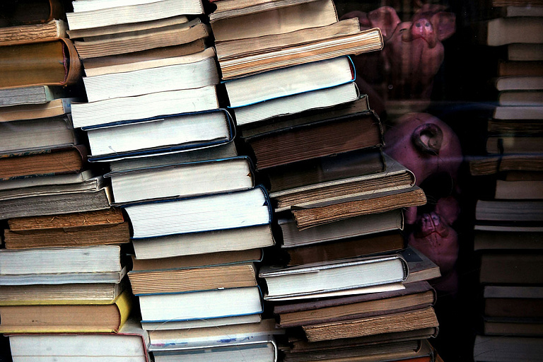 "Тайная история", "Заступа" и Паланик: какие книги запретили в Беларуси