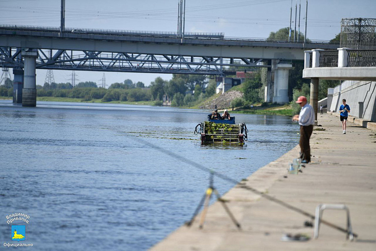 В Гомеле показали, как чистят Сож от зарастания