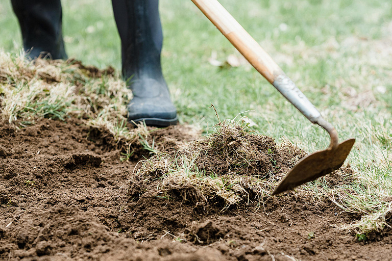 На юге Беларуси объявлен карантин – причина серьезная