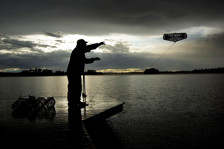 В минских Дроздах незаконно ловили раков
