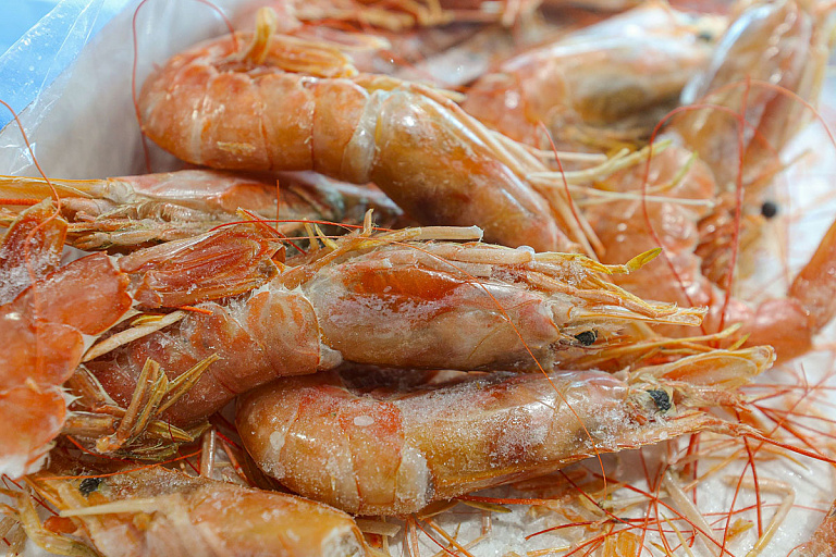 Туристам покажут, как выращиваются белорусские креветки