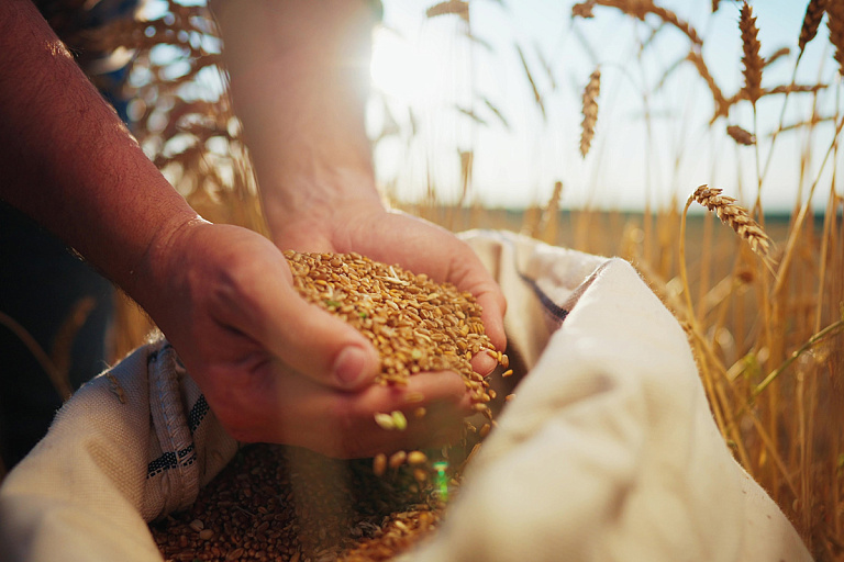 И смех и грех: на Гомельщине удобрения со склада утекли прямо в поле