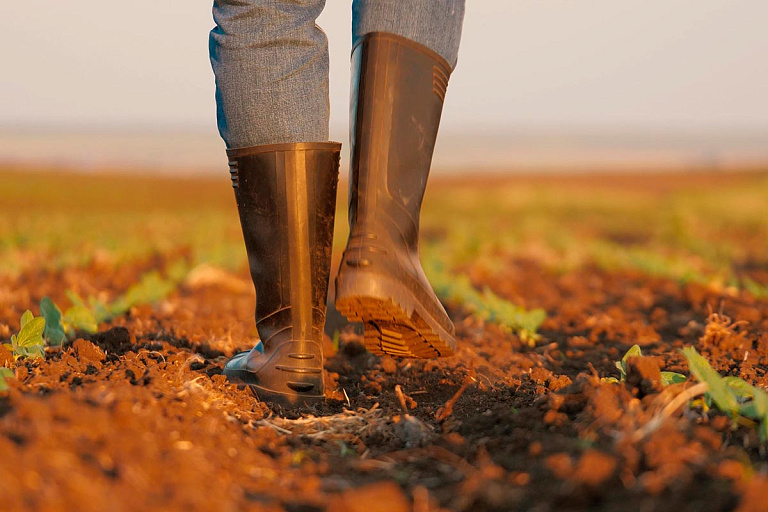 Выпускники агроколледжа не отработали распределение – должны крупную сумму