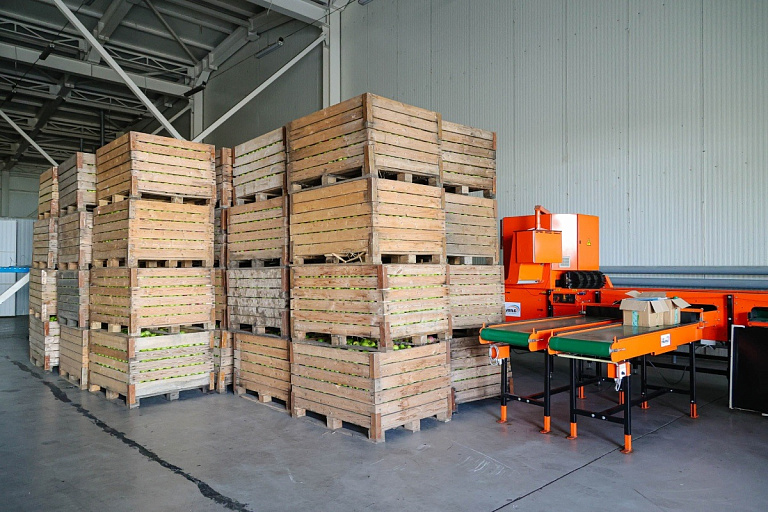 В Минске можно снять целый склад забесплатно – где он находится