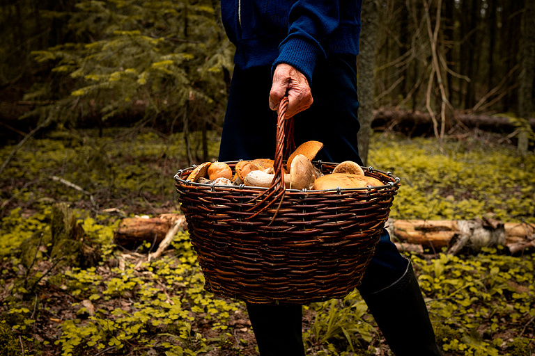 Смерть – в 90% случаев: врач рассказал про опасный гриб в Беларуси