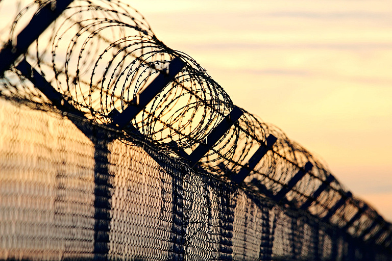 Белорусы организовали схему нелегальной миграции – сколько денег брали