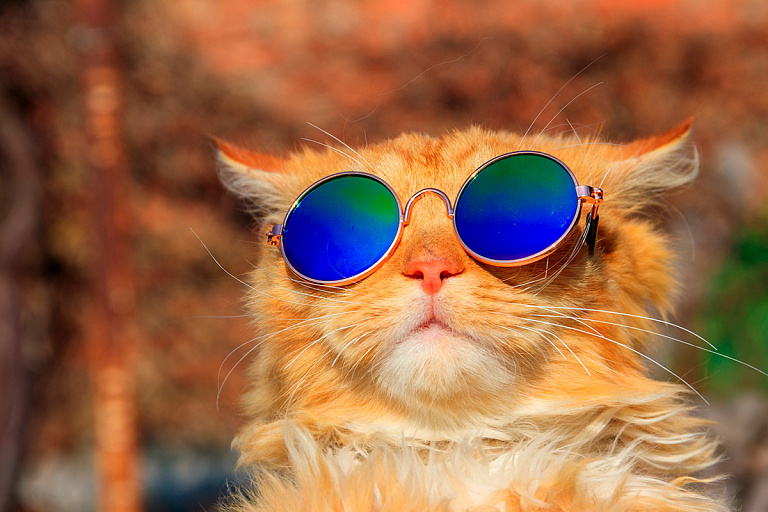 Смогут ли белорусы насладиться теплом на этой неделе – прогноз погоды