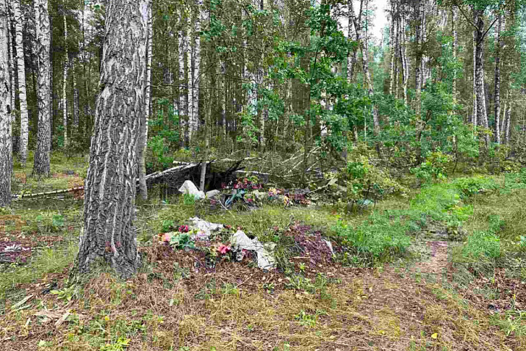 Белорусы выкидывали в лес надгробия – Минлесхоз нашел большую свалку