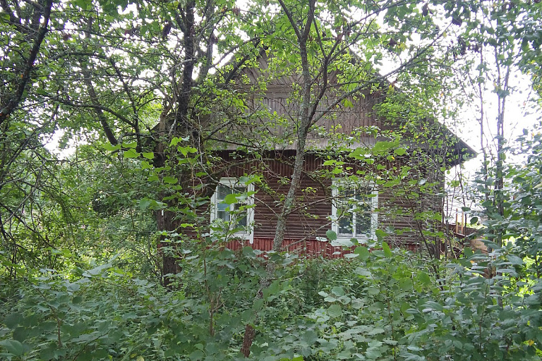 Поближе к Минску, рядом с трассой: смотрим пустующие дома под дачу за Br42