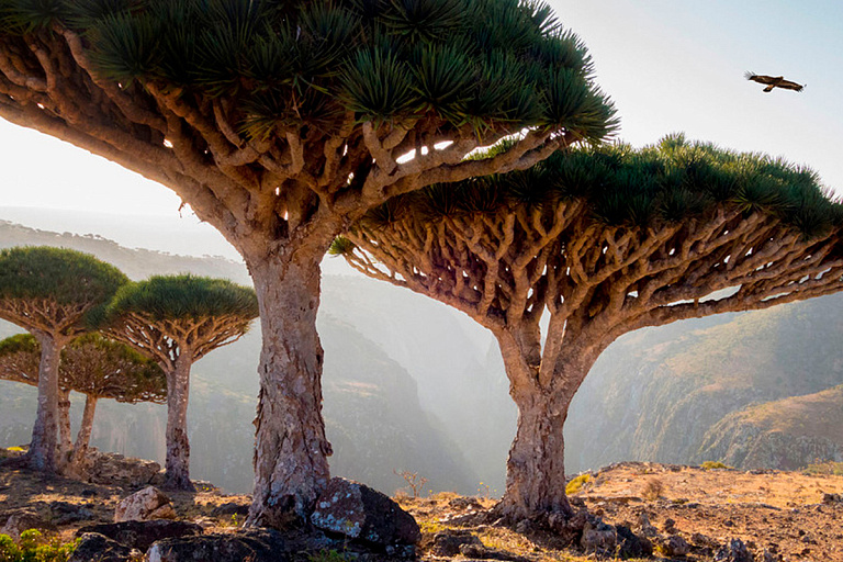 Туроператорам предлагают разведать новое для белорусов место – что за оно
