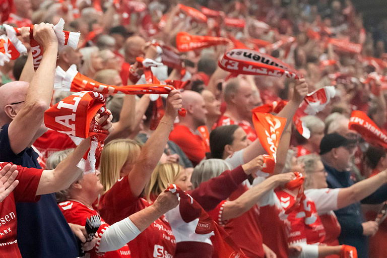 Природа против: как летучие мыши мешают развитию датского гандбола