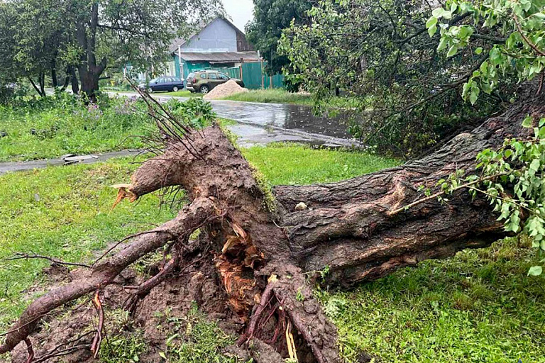 Сорвала крыши и повалила деревья: в МЧС показали последствия субботней грозы