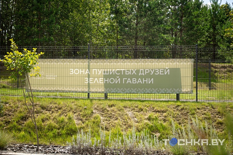 Фото: Павел Русак / Tochka.by