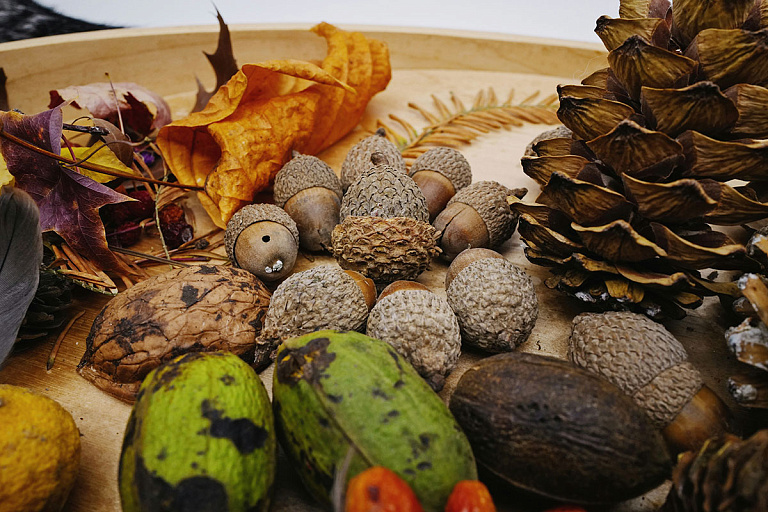 Ореховый Спас: когда и почему его нужно встретить в лучшей пекарне города